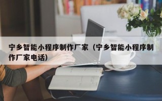 南安宁乡智能小程序制作厂家（宁乡智能小程序制作厂家电话）